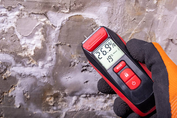 Best Residential Mold Removal  in Redfield, AR