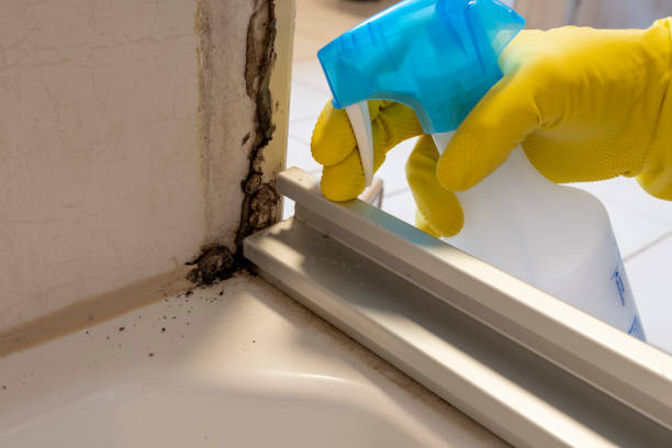 Best Mold Removal Company Near Me  in Redfield, AR