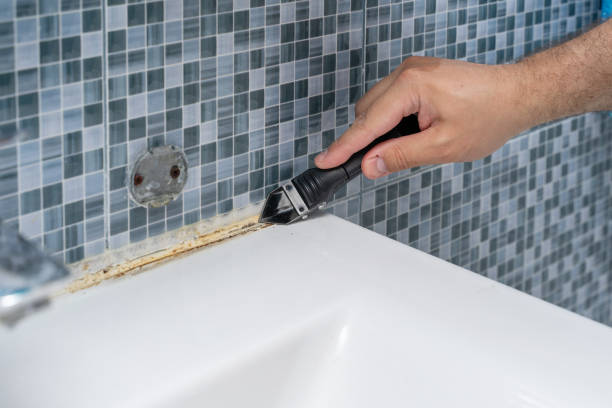 Best Toxic Mold Removal  in Redfield, AR