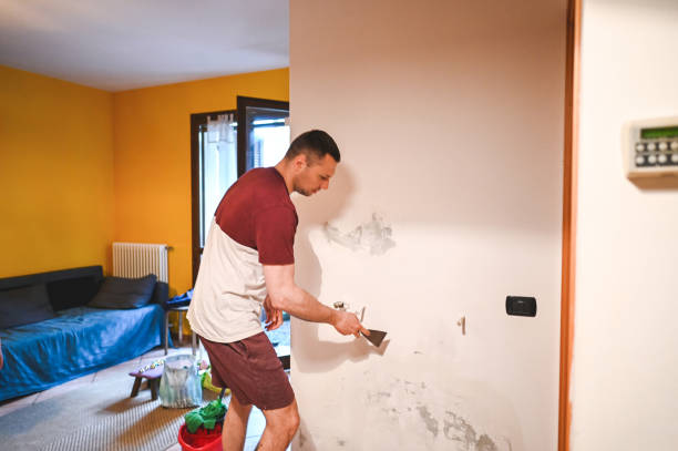 Best Mold Testing and Removal  in Redfield, AR