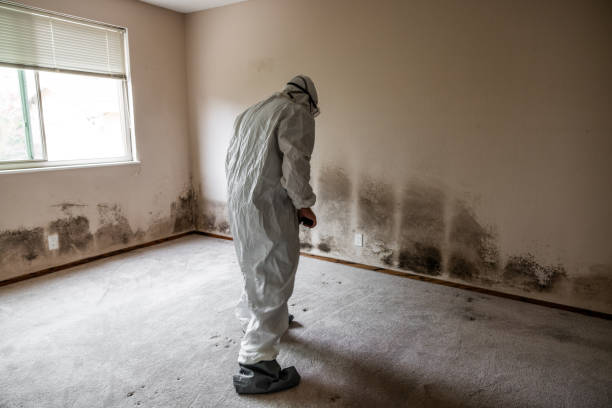 Best Commercial Mold Removal  in Redfield, AR